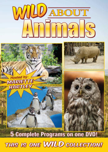Wild About Animals - Cover